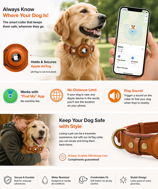 Leather AirTag Dog Collar
