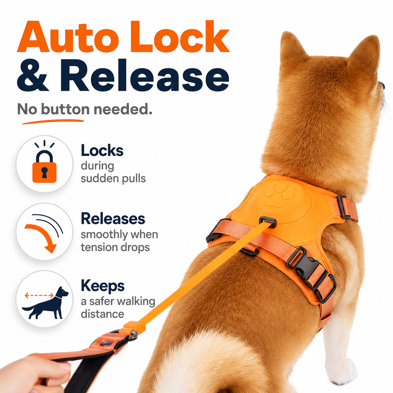 Dog Harness and Automatic Retractable Leash Kit