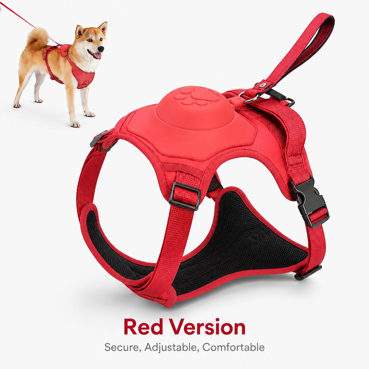 Dog Harness and Automatic Retractable Leash Kit