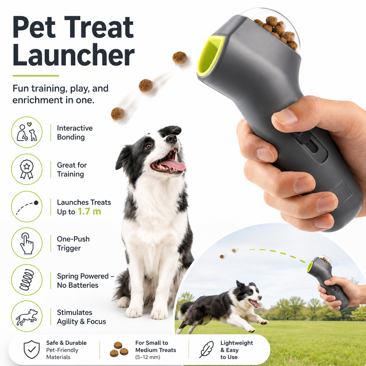 Dog Treat Launcher