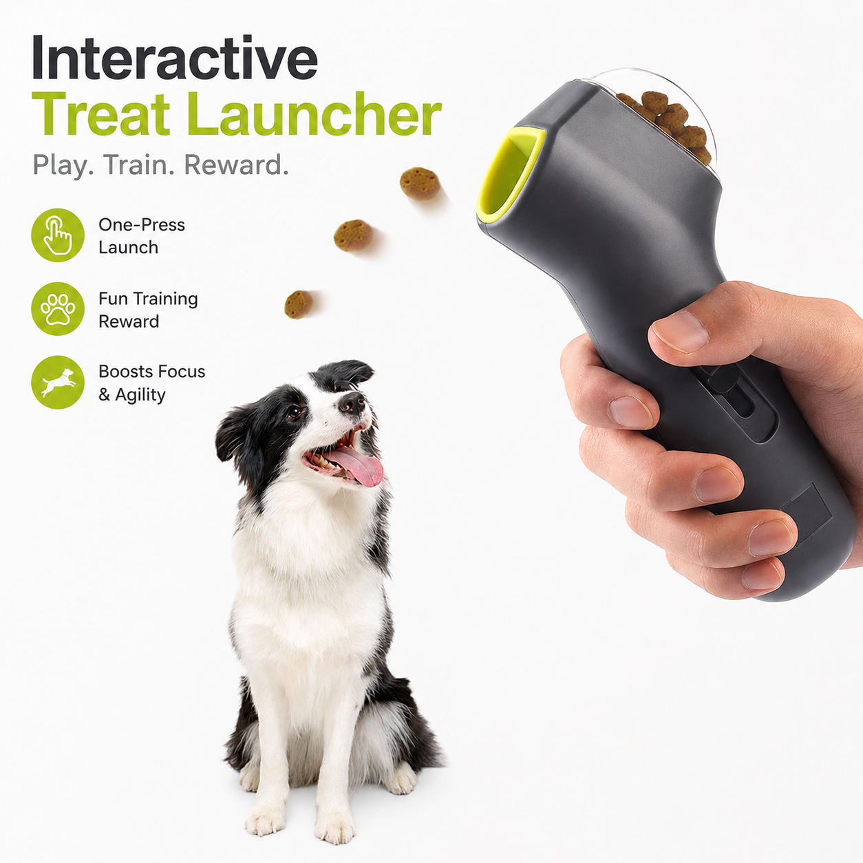Dog Treat Launcher