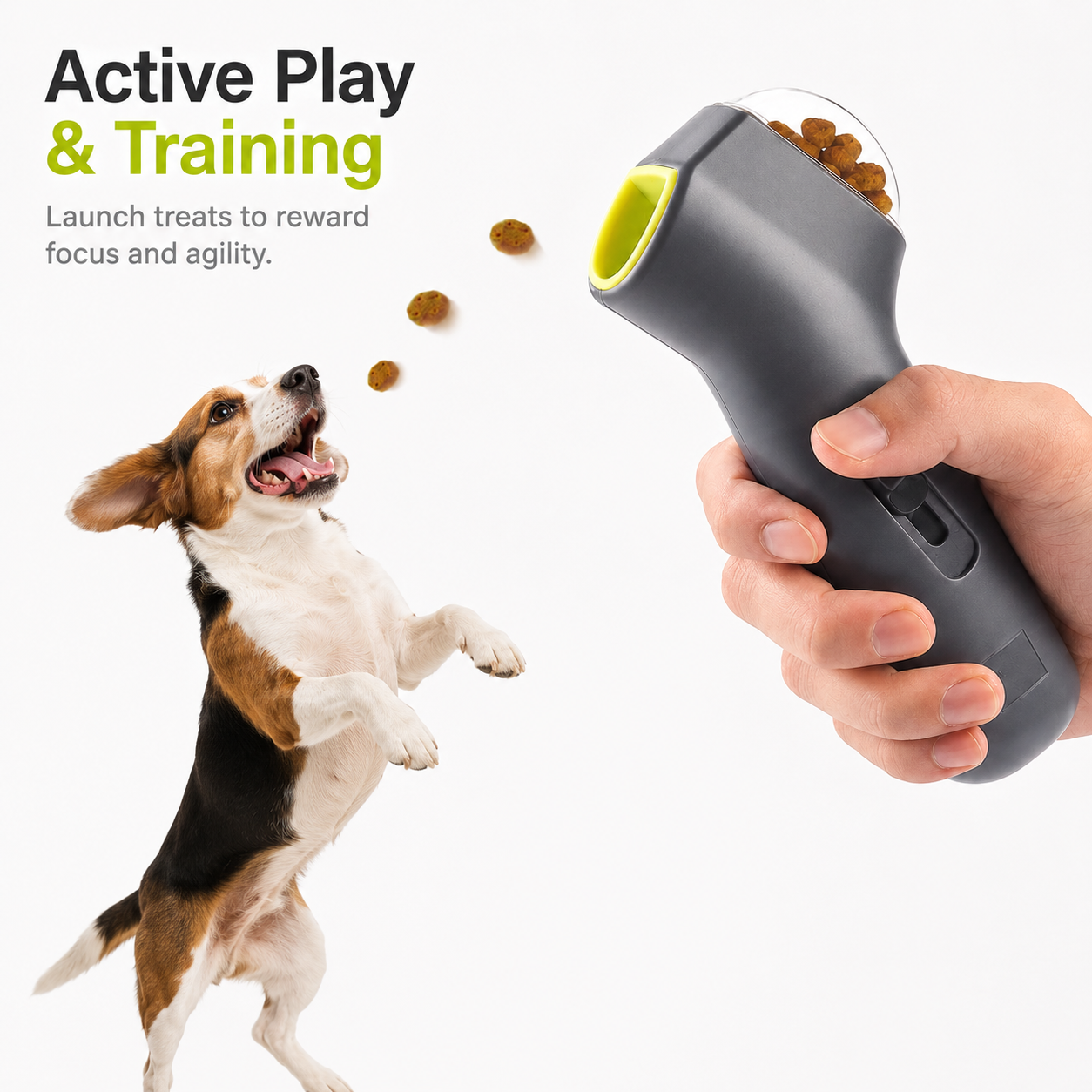 Dog Treat Launcher