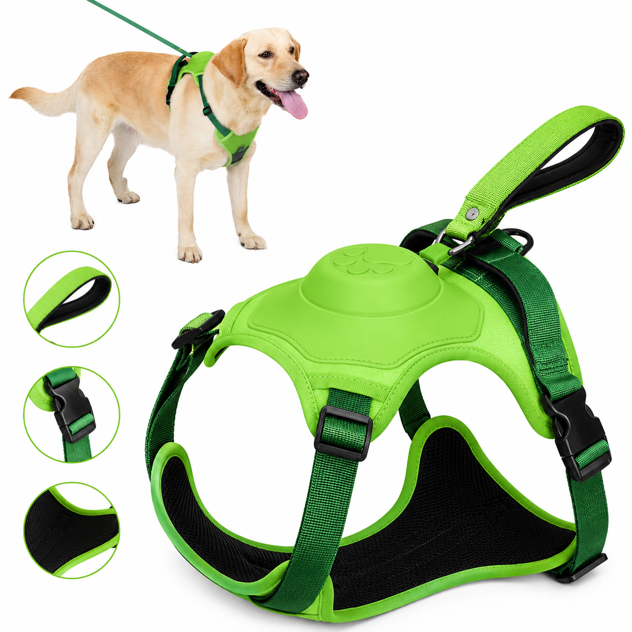 Dog Harness and Automatic Retractable Leash Kit